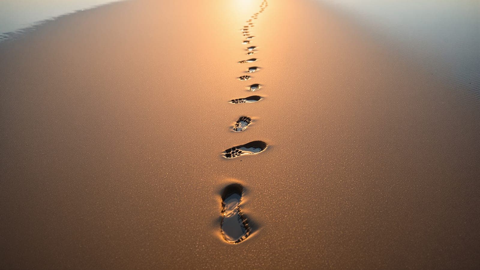 A single set of footprints crossing wet sand into the distance in low raking light, with nobody in sight