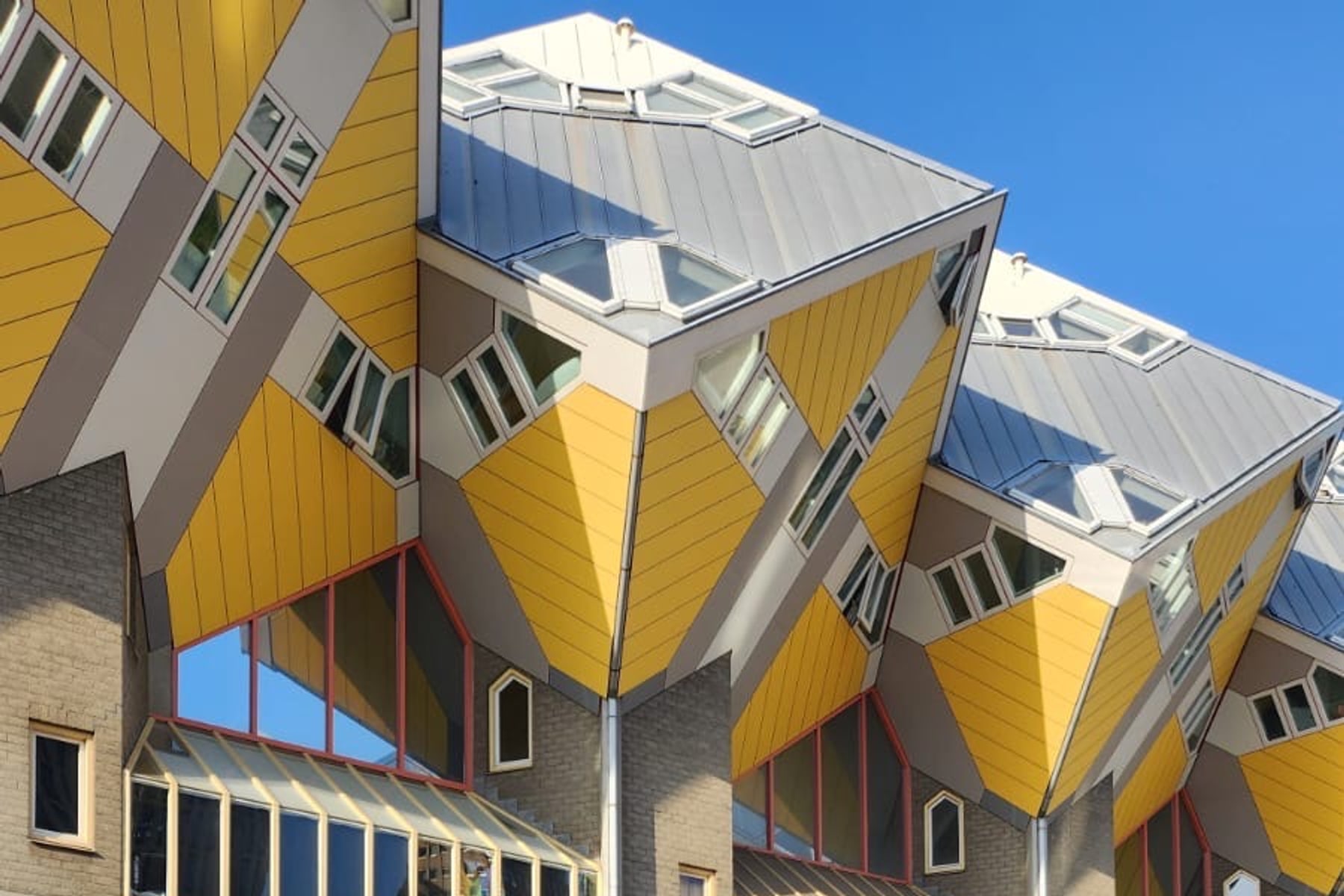 The Cube Houses: A Forest of Tilted Homes