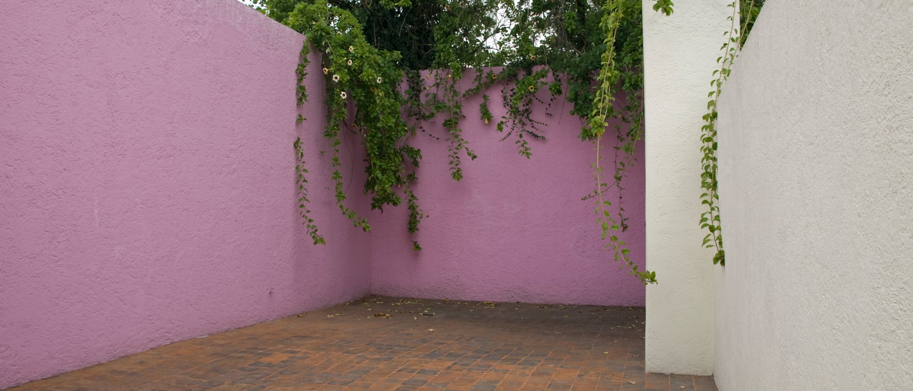Casa Luis Barragán — Colour, light and silence — emotional modernism.