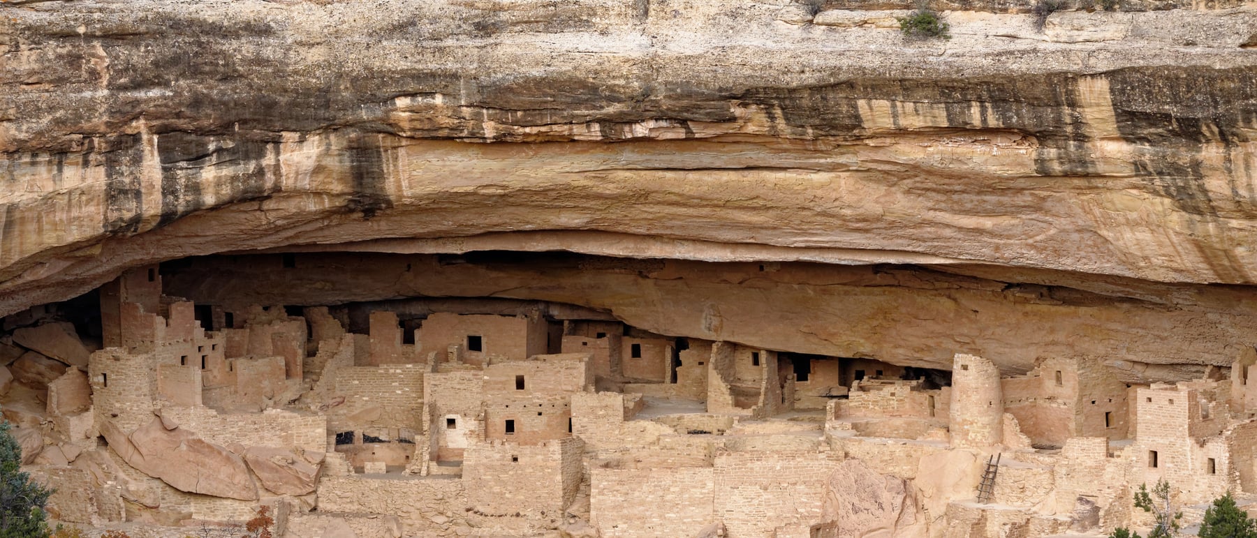 Cliff Palace, Mesa Verde — A stone town sheltered under a cliff.