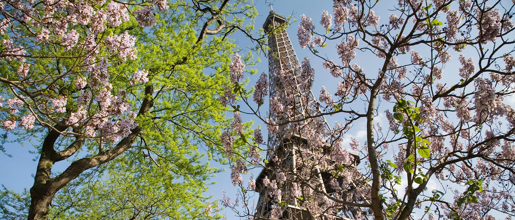 Eiffel Tower — Wrought iron proving engineering could be sublime.