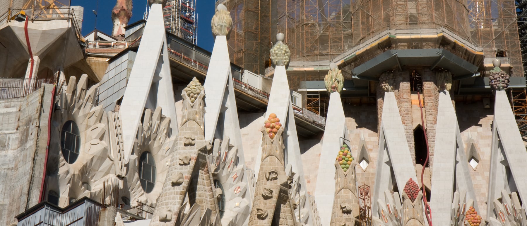 Sagrada Família — Geometry, nature and faith in a still-unfinished basilica.