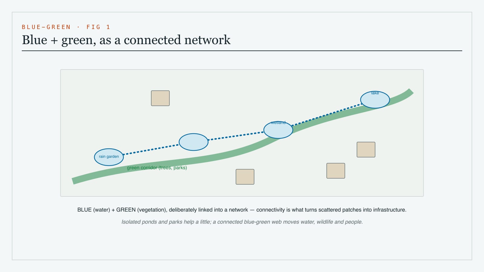 Diagram of blue-green infrastructure as connected networks - blue water elements like wetlands and channels linked with green elements like parks and tree corridors across a city
