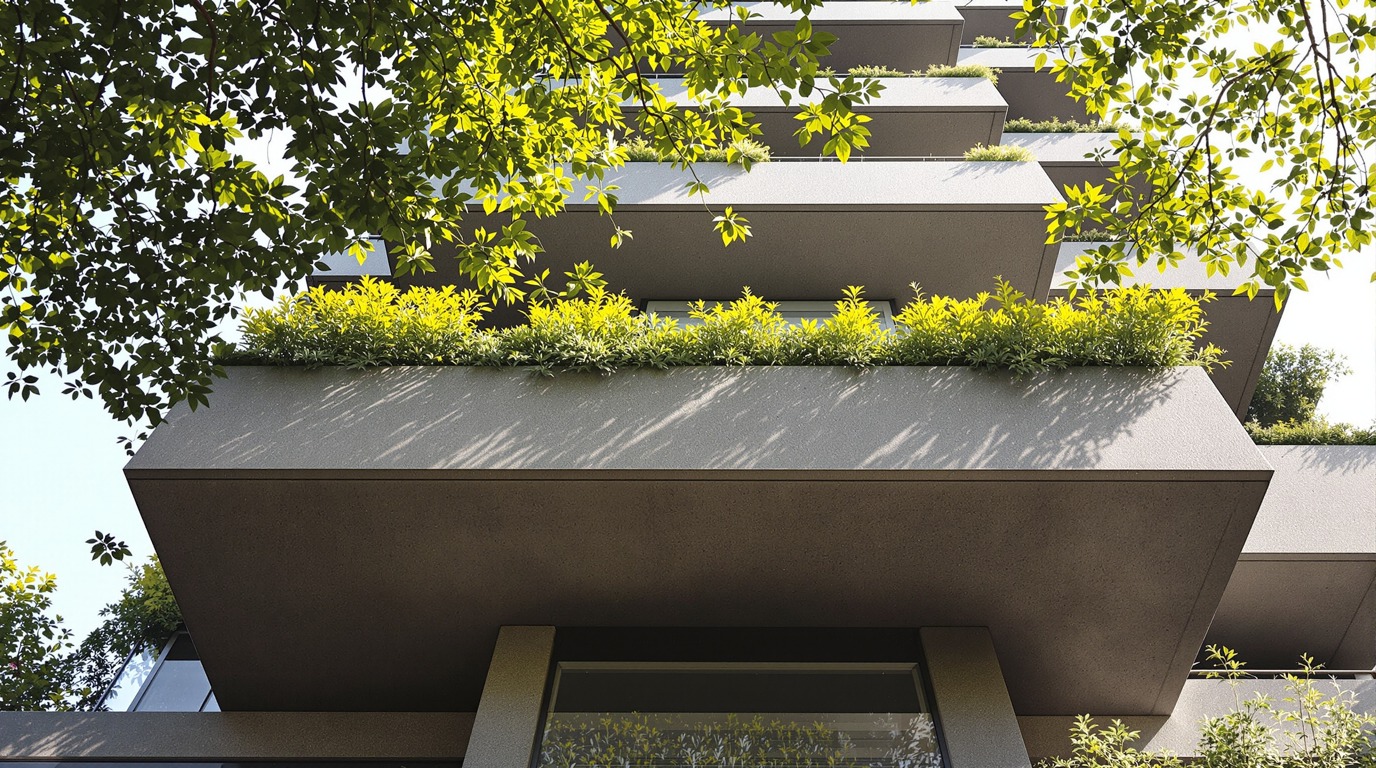 Close view of a Bosco Verticale balcony from below, a mature tree's canopy spilling over the edge of a deep gunmetal-grey concrete planter, sunlight filtering through leaves against the tower's staggered facade