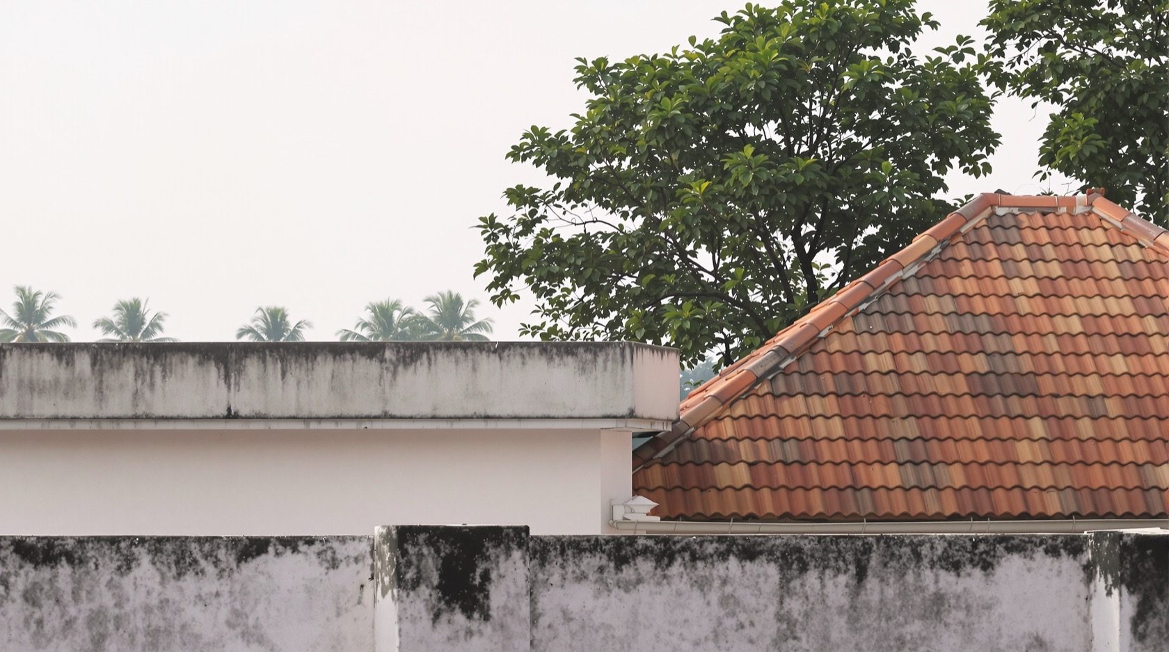 Flat Roof vs Sloping Roof: Which Is Right for You?