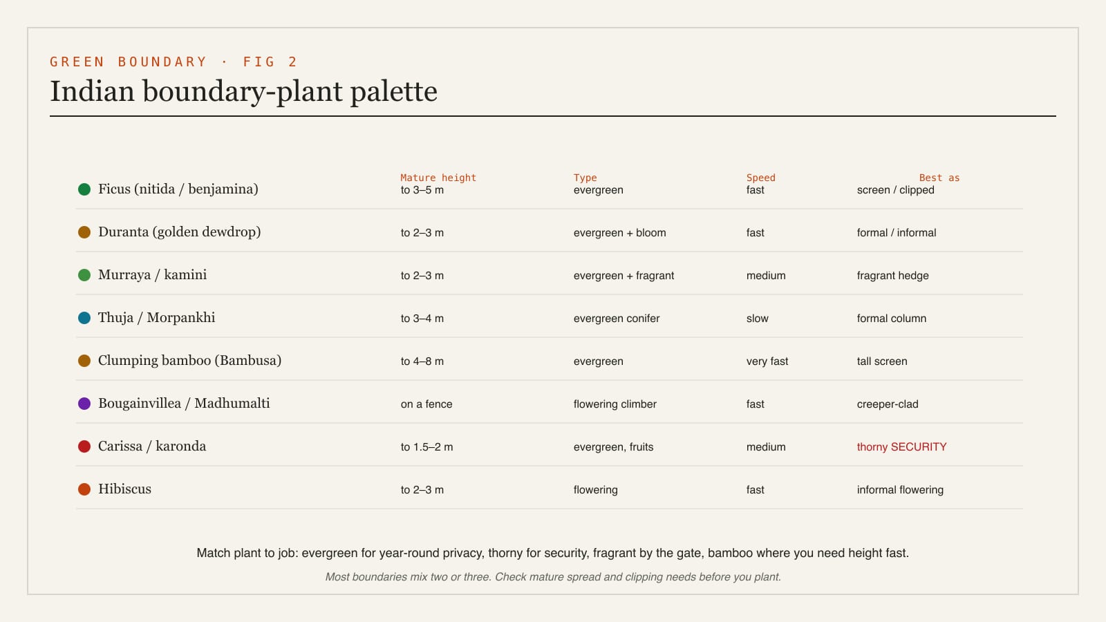 A palette of Indian boundary plants - Ficus, Duranta, Murraya, bamboo, Bougainvillea, thorny Carissa and others - compared by mature height, evergreen or flowering, growth speed and security