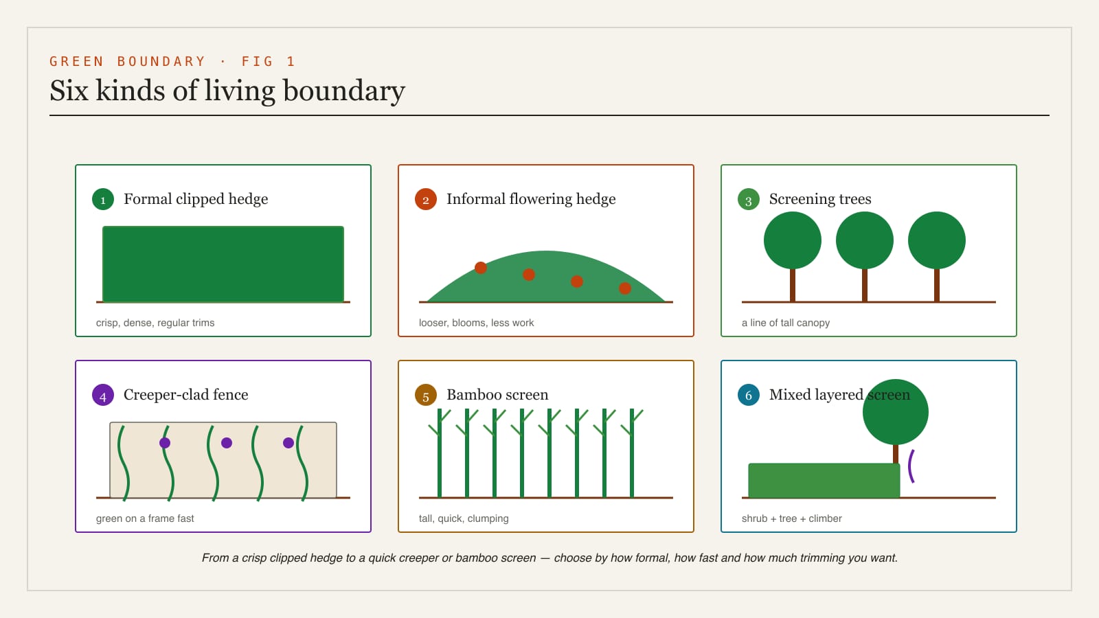 A diagram of the types of green boundary - a formal clipped hedge, an informal flowering hedge, a line of screening trees, a creeper-clad fence, a bamboo screen and a mixed layered living screen