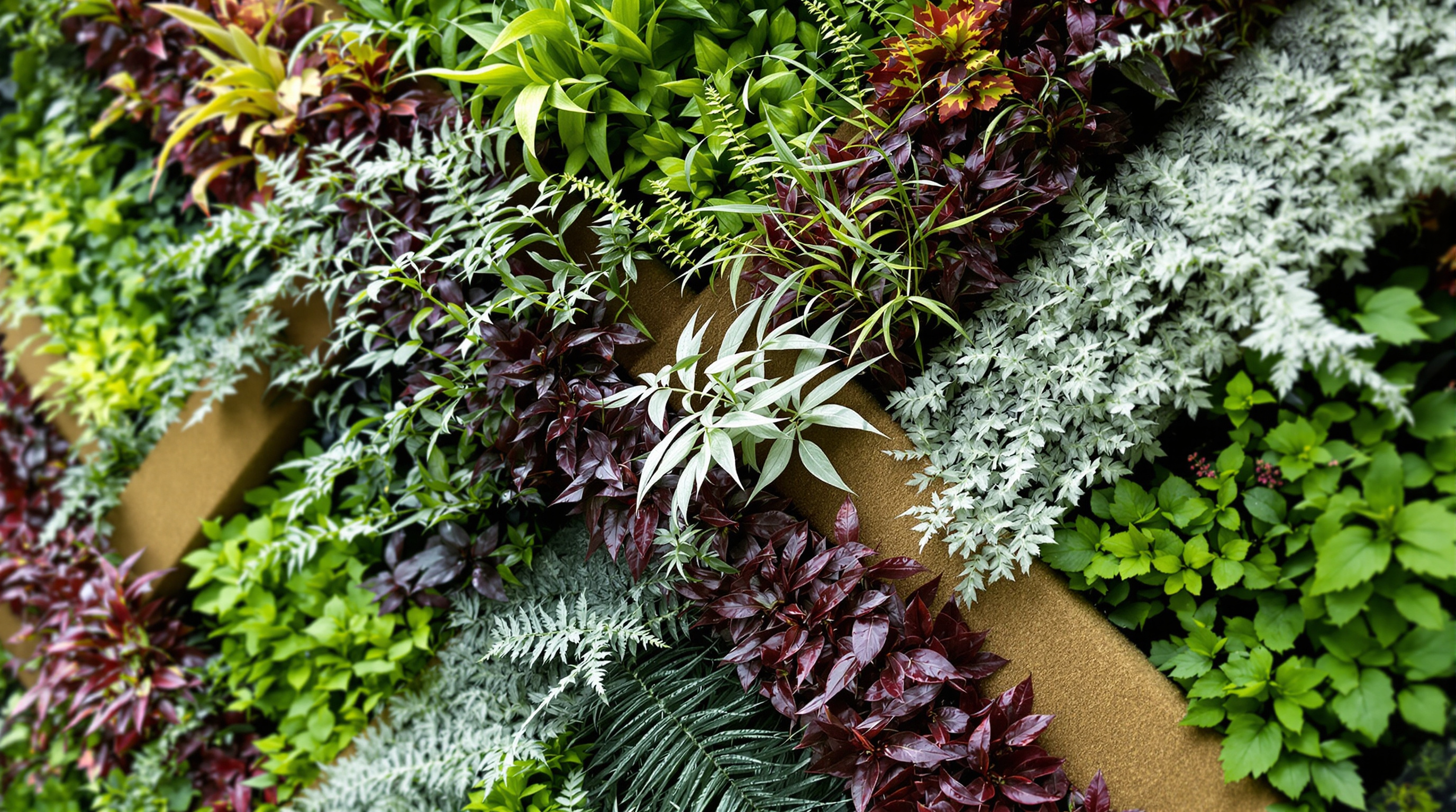 Detail of L'Oasis d'Aboukir showing the diagonal bands of contrasting foliage — silvery, deep green, burgundy and lime-coloured leaves of ferns, heucheras and sedges — sweeping across the vertical garden in interlocking waves