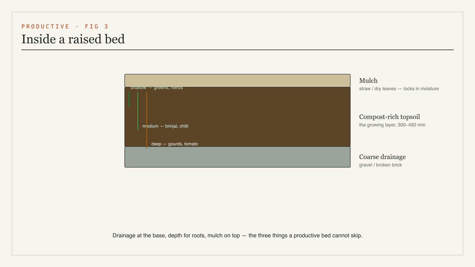 Cross-section of a raised vegetable bed showing drainage gravel, a compost-enriched soil mix, mulch on top and root depth zones for different vegetables