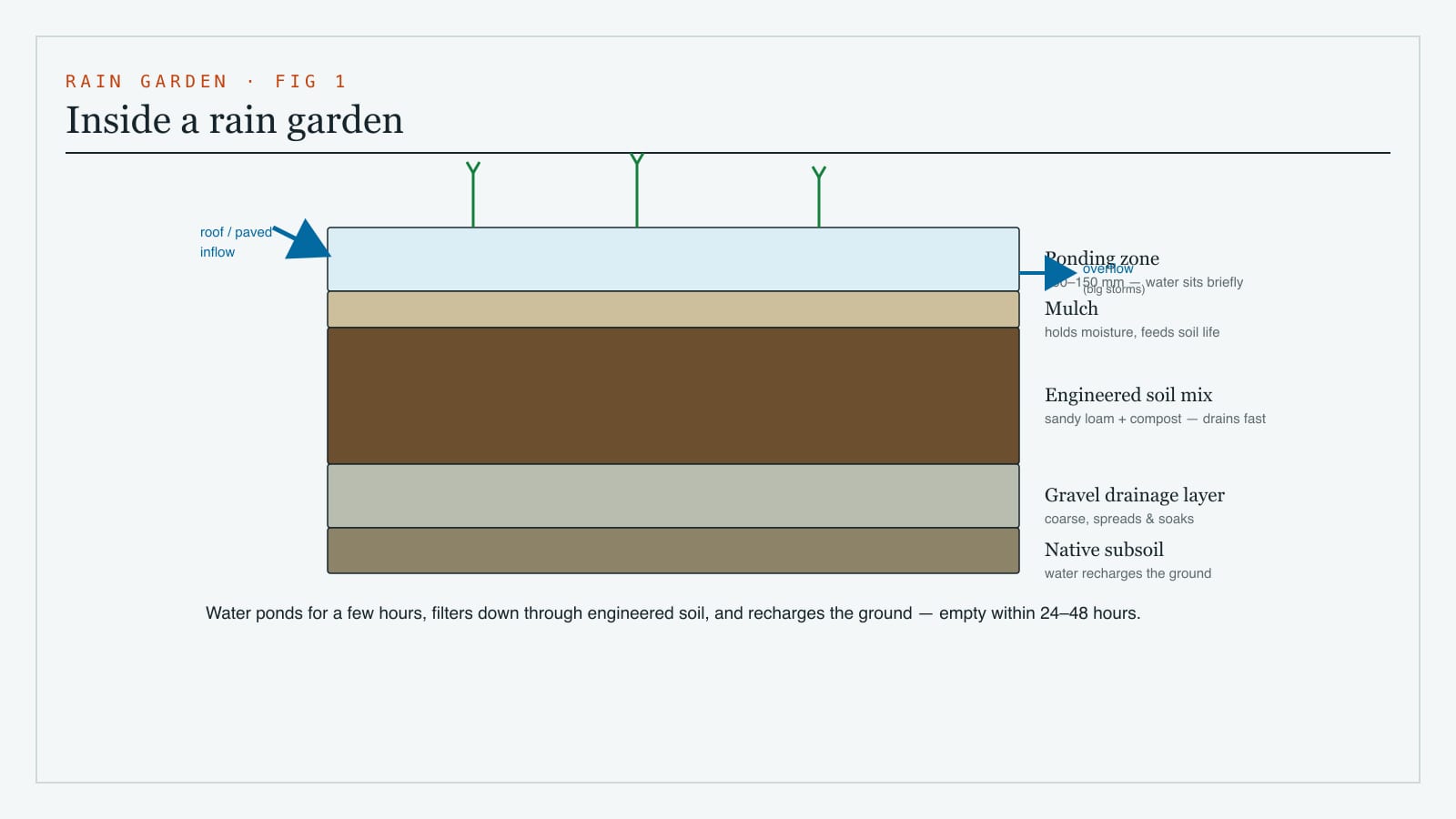 Cross-section of a rain garden showing the shallow ponding zone, a mulch layer, the engineered sandy-loam soil mix, a gravel drainage layer below, the inflow point and an overflow outlet