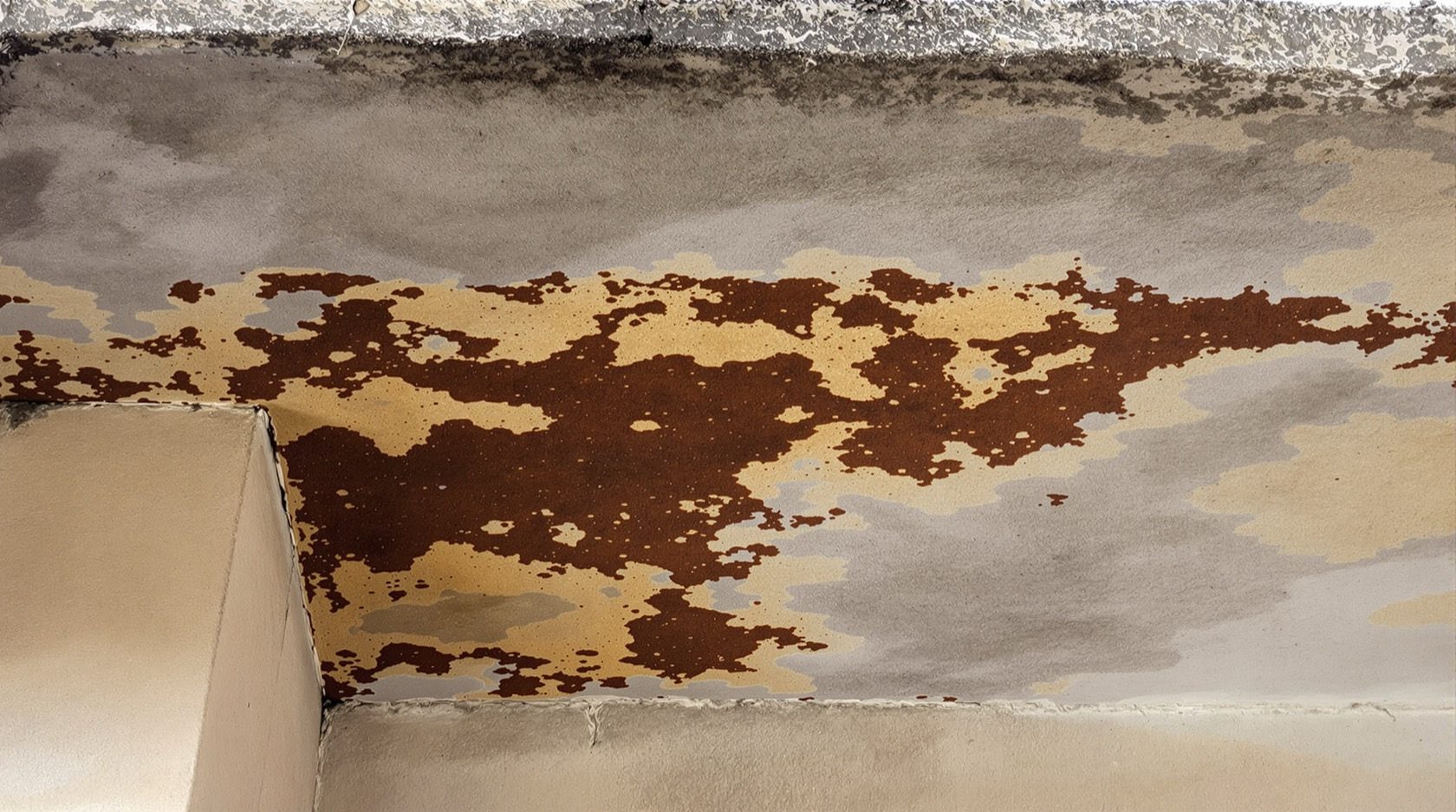 Roof Sagging & Structural Warning Signs: When to Call an Engineer Now
