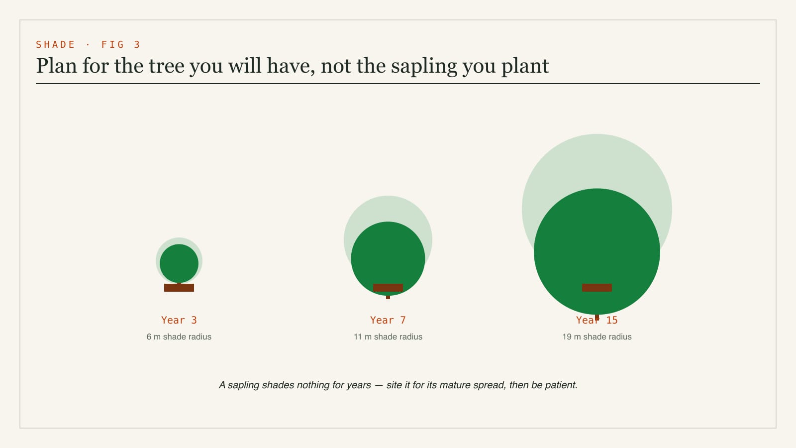 Diagram of a tree canopy growing over time - the shade footprint at three years, seven years and fifteen years from planting