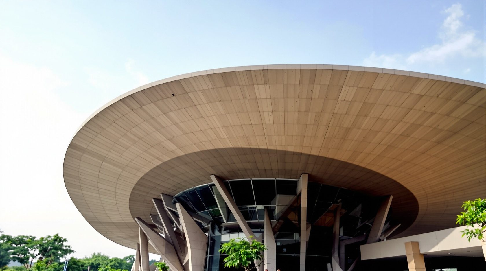 Special Roof Forms: Domes, Vaults, Shells & Membranes
