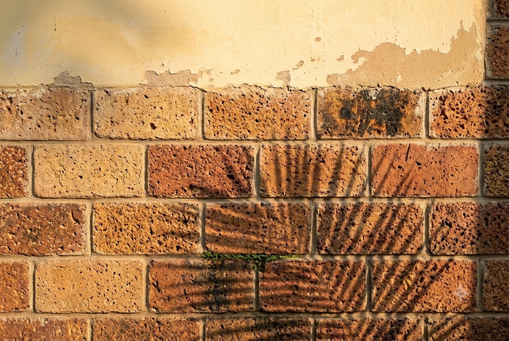 Close-up architectural material detail photograph of a laterite stone wall on a Kerala vernacular house showing the characteristic warm red-brown porous laterite blocks of nine by six inches with raked lime-mortar joints, the natural variation of laterite shades from pale ochre through deep terracotta, a partial weathered lime-wash on the upper third of the visible wall area in a soft pale-yellow tone, a tiny green moss colony in one mortar joint, and a coconut palm frond shadow cast diagonally across the lower portion of the wall by late-afternoon side light from the right showing approximately eighty by sixty centimetres of wall area at full size