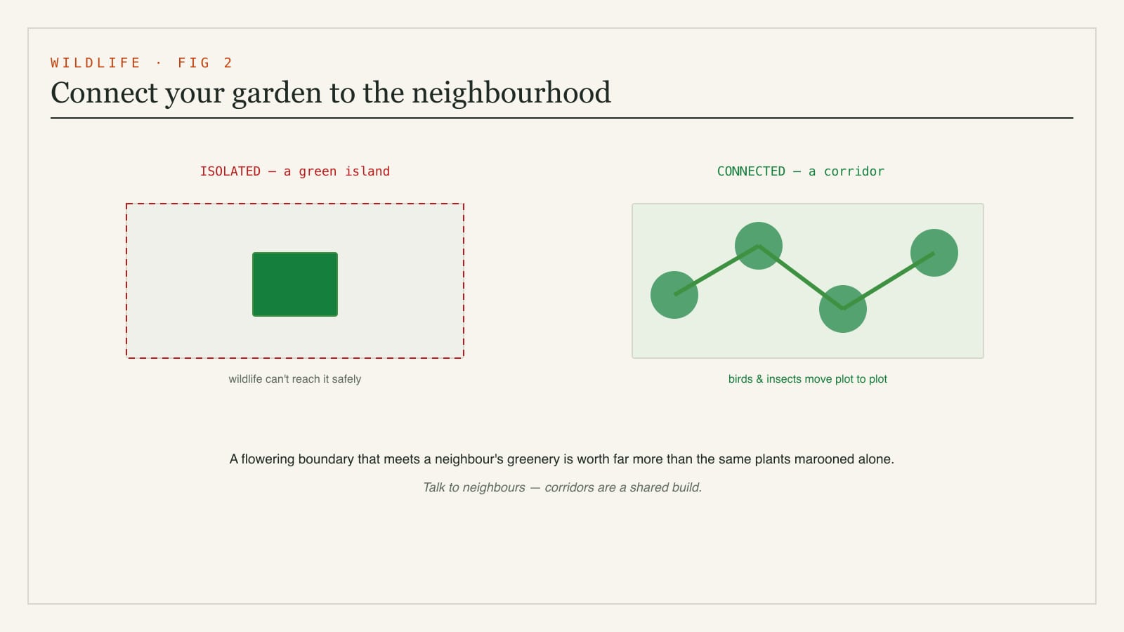 Diagram of a wildlife corridor - how garden planting connects across boundaries to neighbouring greenery so birds and insects can move safely through the neighbourhood