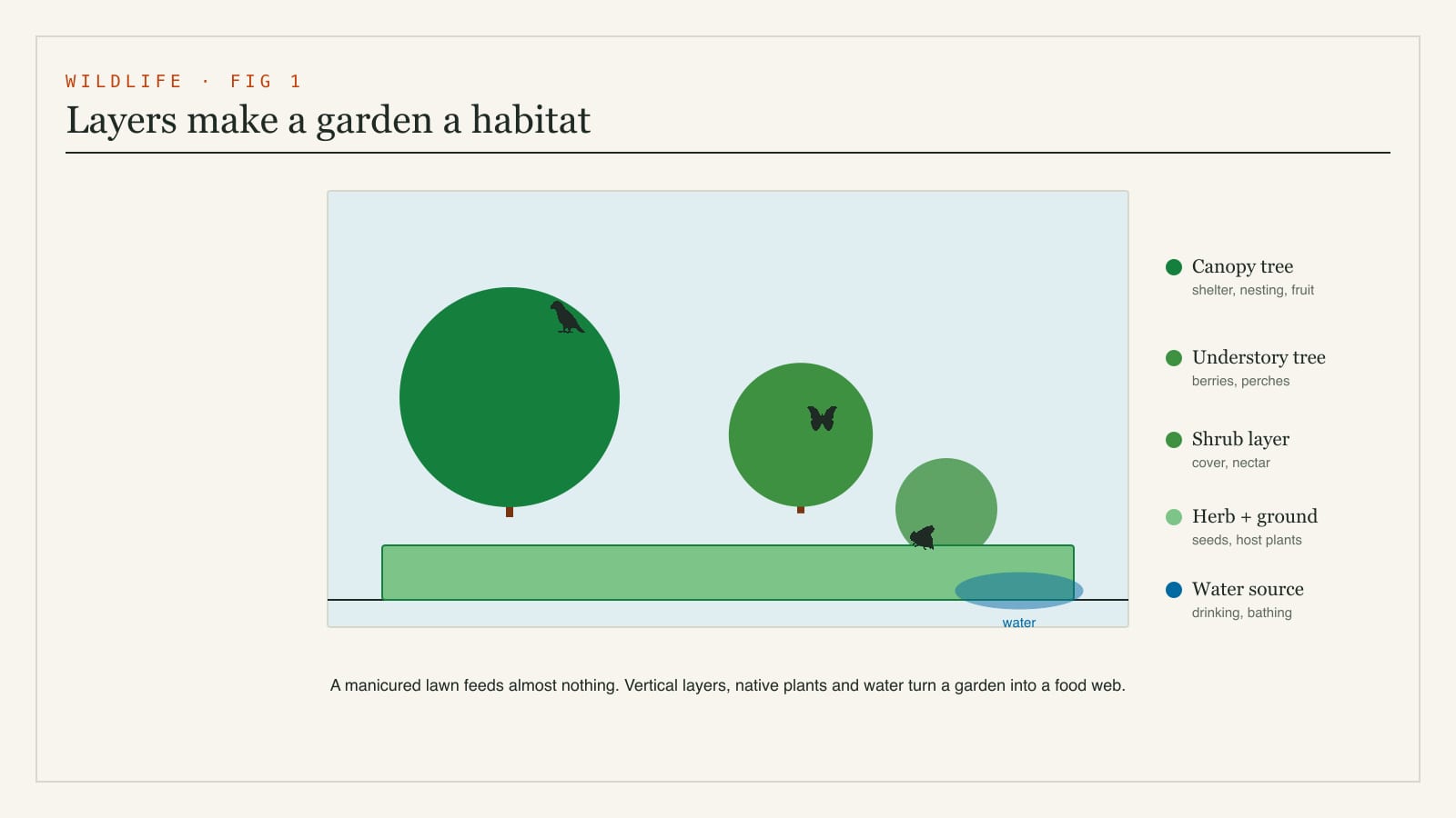 Diagram of habitat layers that support garden wildlife - tall tree canopy, understory trees, a shrub layer, herbaceous ground layer and a water source