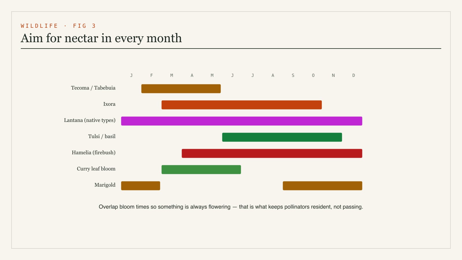 A year-round pollinator bloom calendar for an Indian garden showing native flowering plants that provide nectar across the seasons