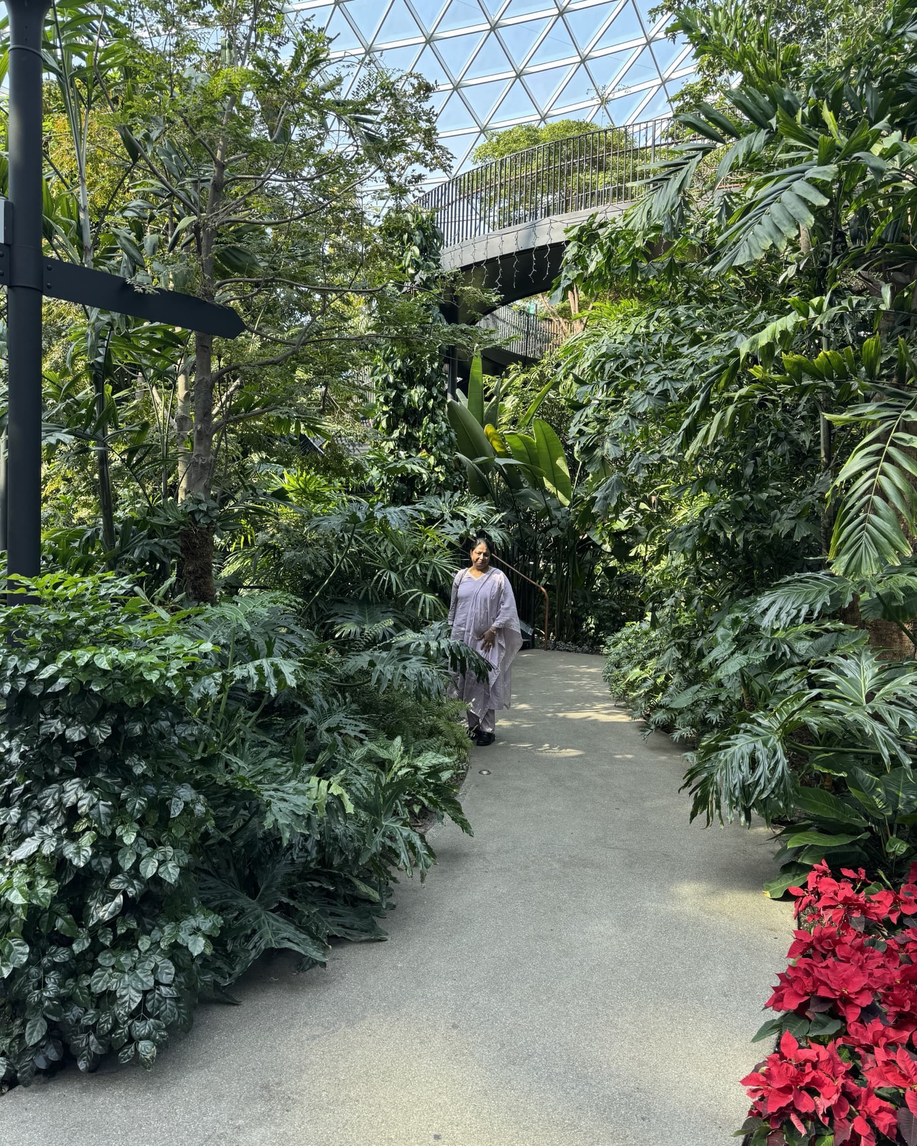 A traveller walking a planted path inside The Orchard, with the column-free glass grid-shell dome and a viewing bridge overhead