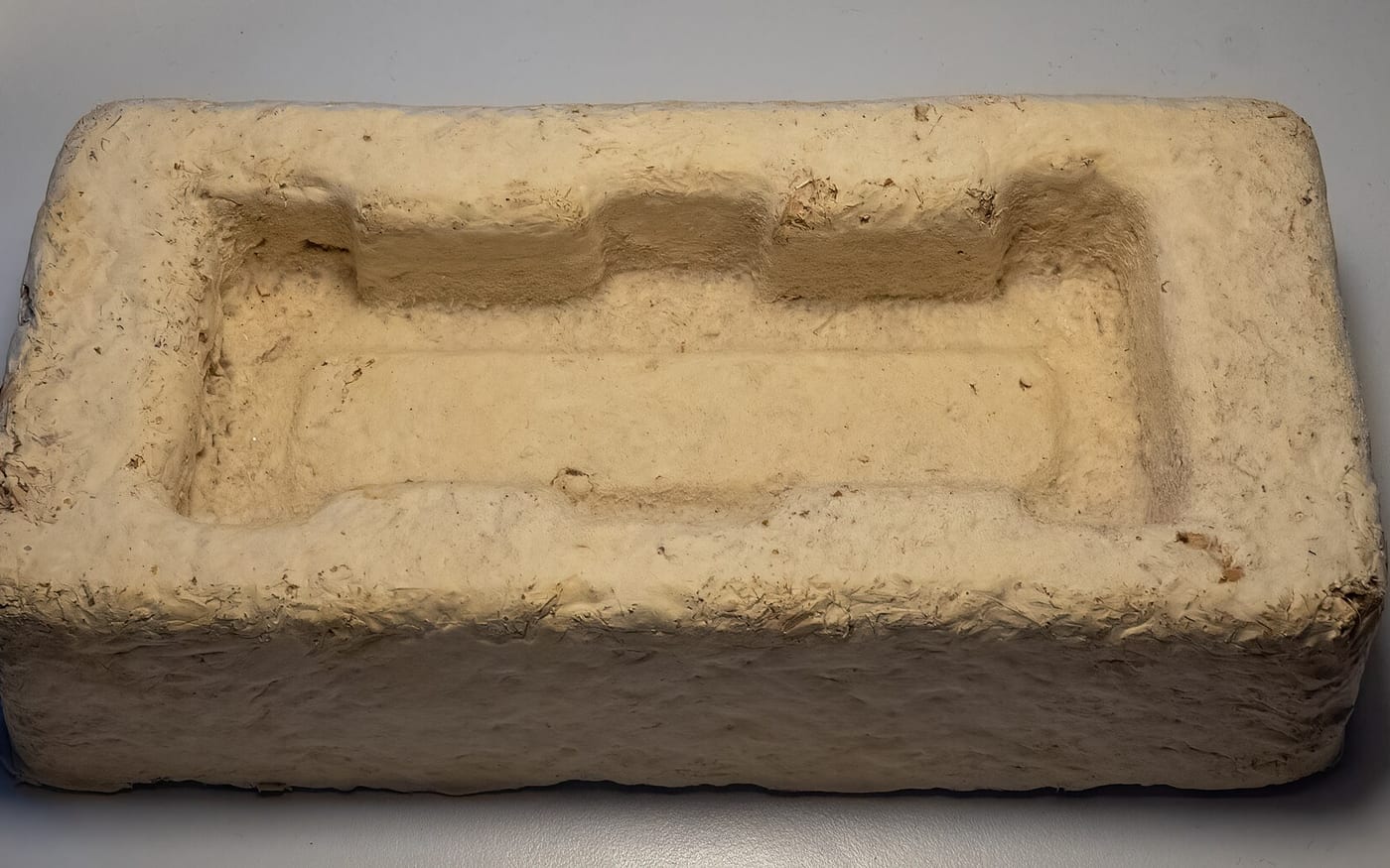 A tray-like object grown from mycelium, exhibited at Genspace