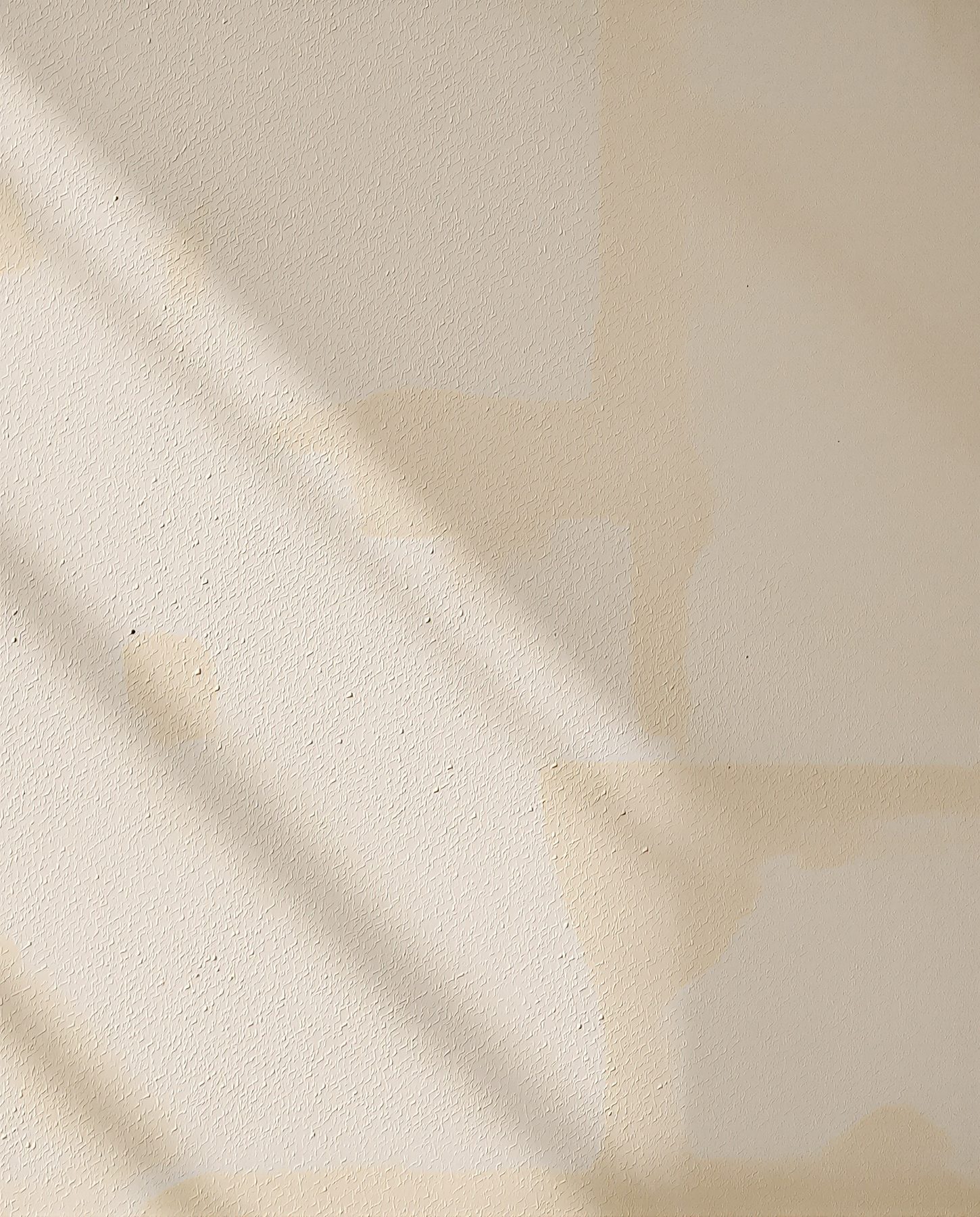 A close view of a weathered, breathable lime-plastered wall on an old Indian building