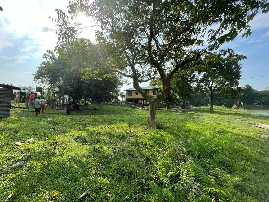 The raised barracks at Pobitora seen across the green floodplain, with water beyond