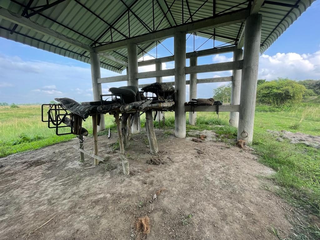 Mahout gear and stores kept in the shaded ground beneath the raised Pobitora barracks in the dry season