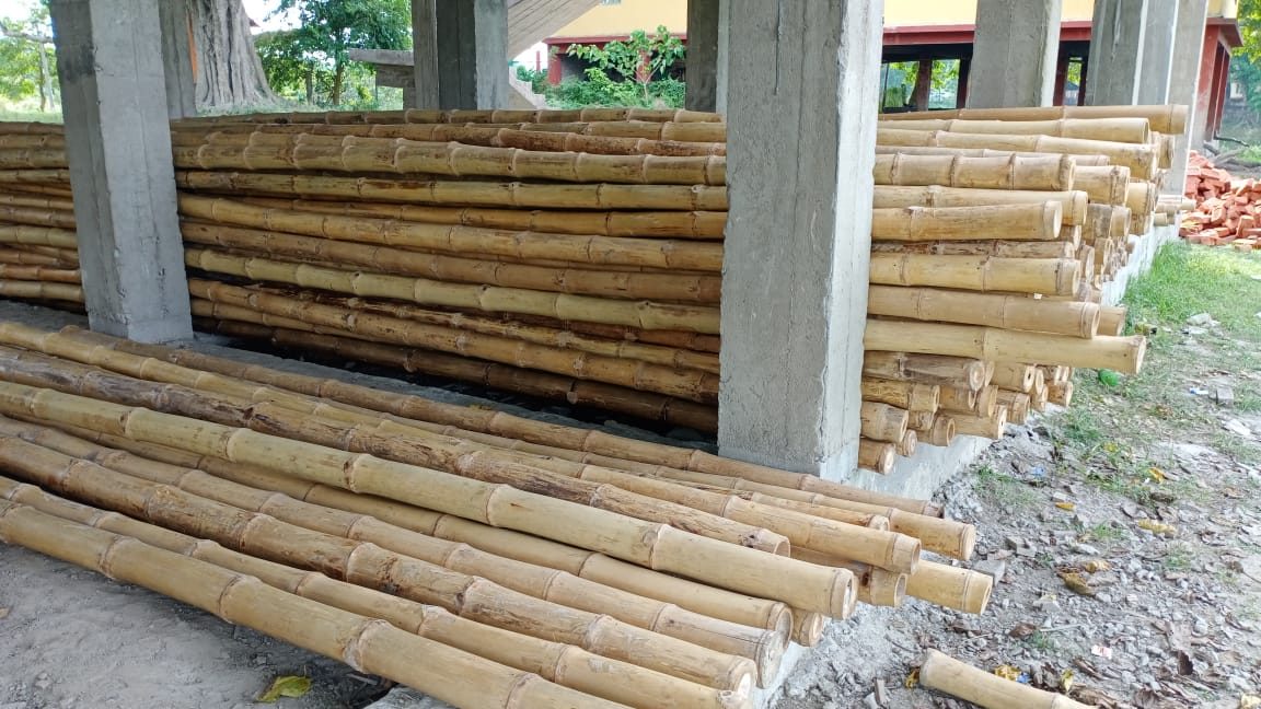 Cured bamboo poles stacked and stored beneath the raised concrete platform