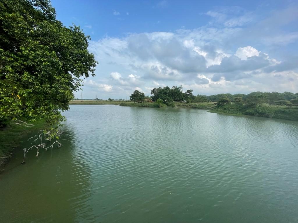The wide river and floodplain landscape around Pobitora