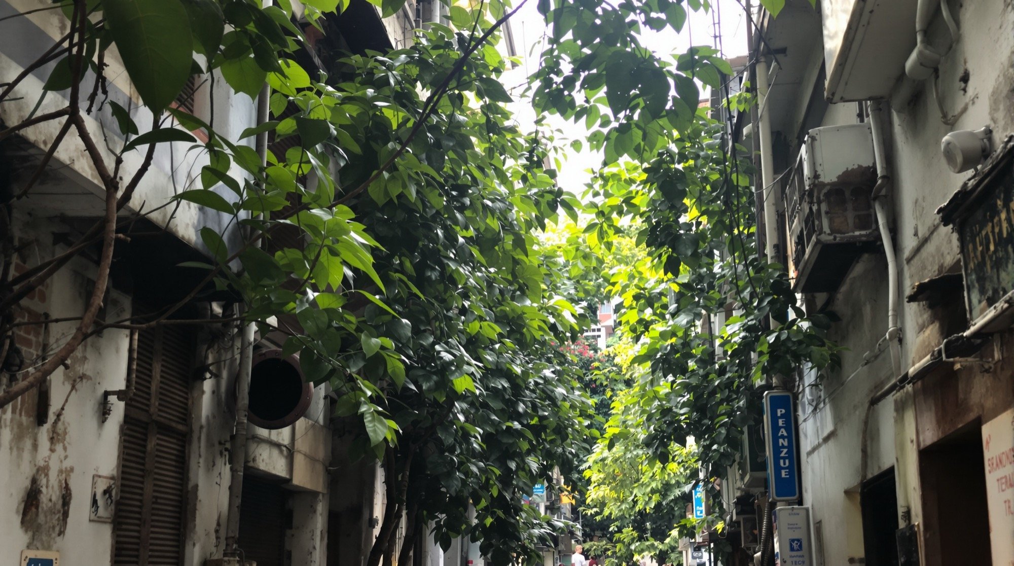 A lane receding into depth — read the cues.