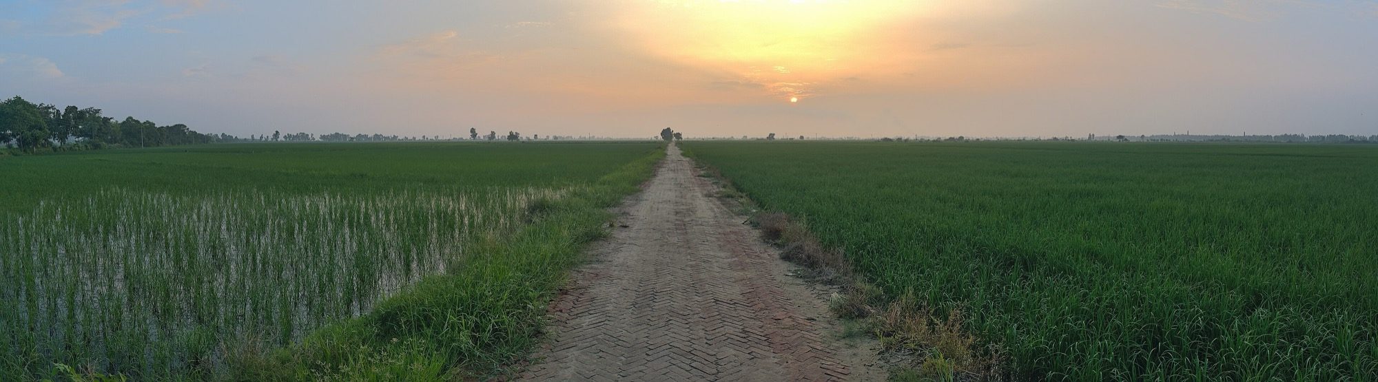A rural Indian village seen whole — the layered subject of a field survey.