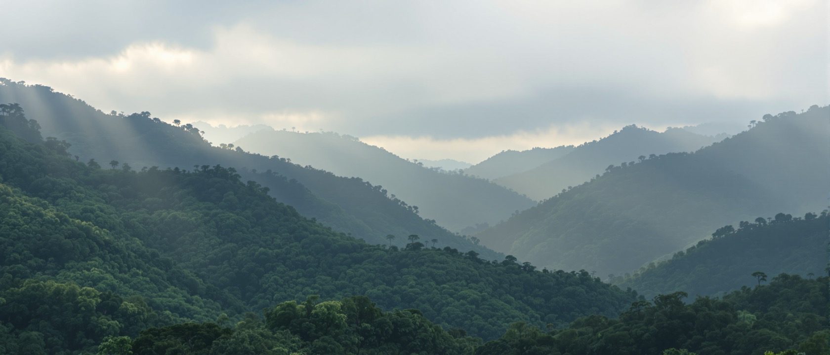 Environmental Studies