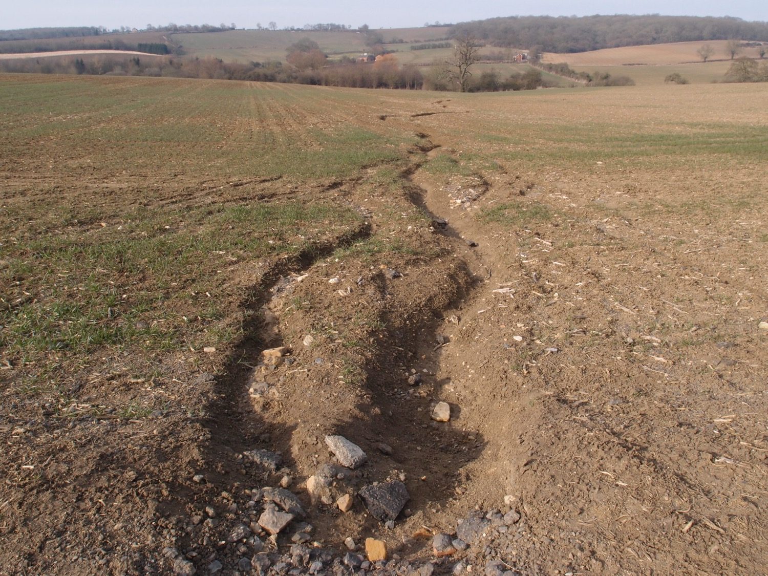 Gullied, eroded farmland — soil lost to water erosion.