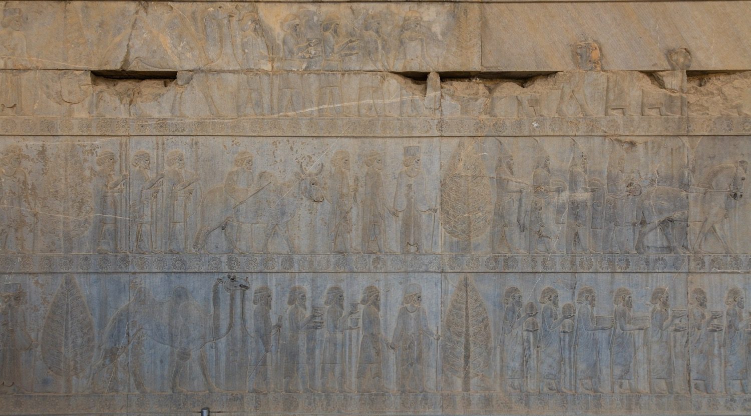 The slender stone columns of the apadana hall at Persepolis, with a grand ceremonial stairway.