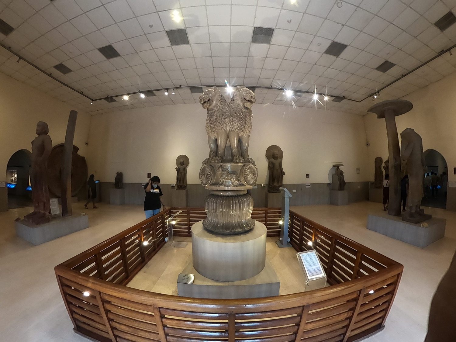 The polished Lion Capital from Asoka's pillar at Sarnath — four addorsed lions on an abacus.