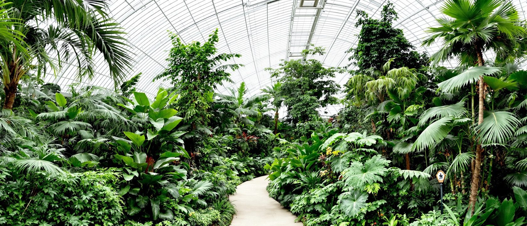 A lush planted commercial atrium seen from a walkway, tall indoor trees and layered greenery rising through several floors under a glazed roof, soft daylight, people small below for scale, thriving and well-maintained, no text